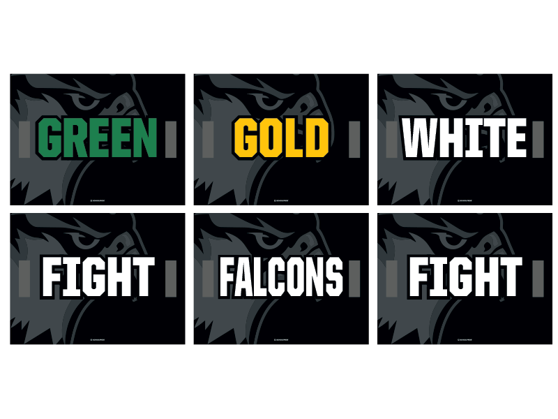 green gold white fight falcons fight cheer signs