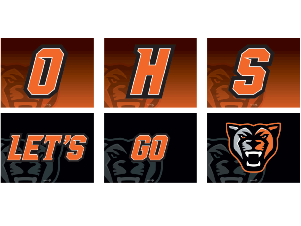 OHS lets' go cats cheerleading signs