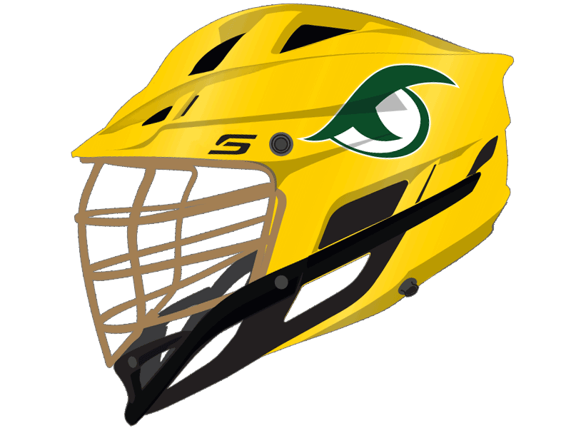 green and white eye lacrosse decal yellow helmet