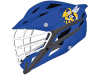 xrs helmet with bee mascot decal