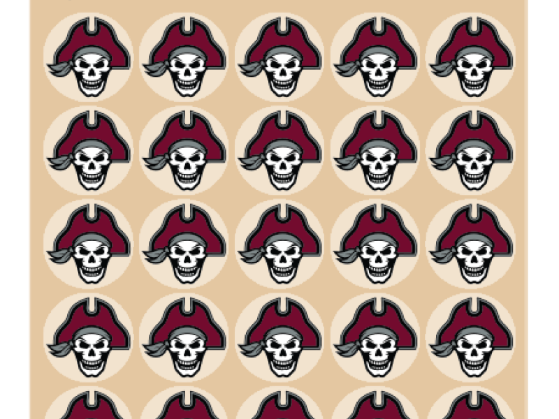 custom pirate football helmet awards on clear