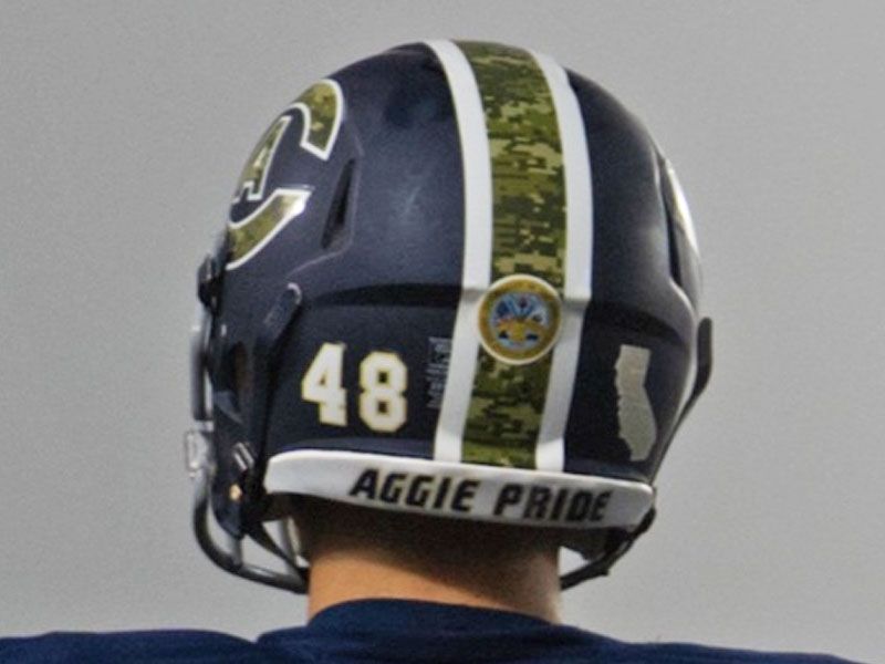 back helmet stripe with military symbol