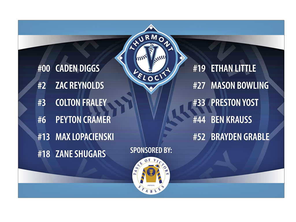 Thumont Velocity Baseball Travel Banner