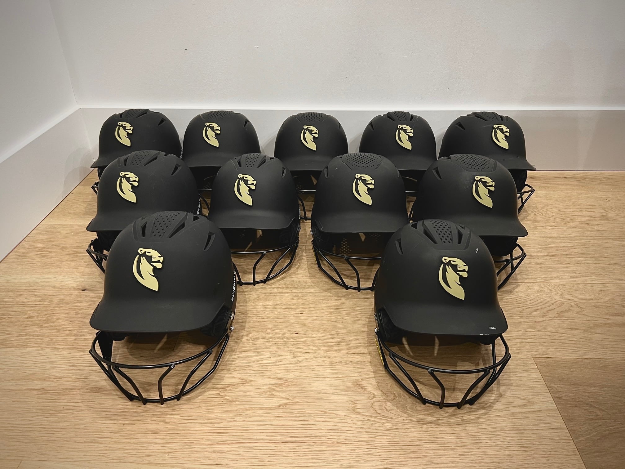 back helmet stripe with military symbol