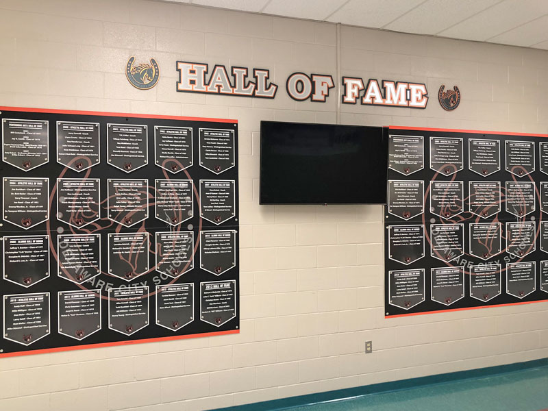 delaware hayes pro series hall of fame