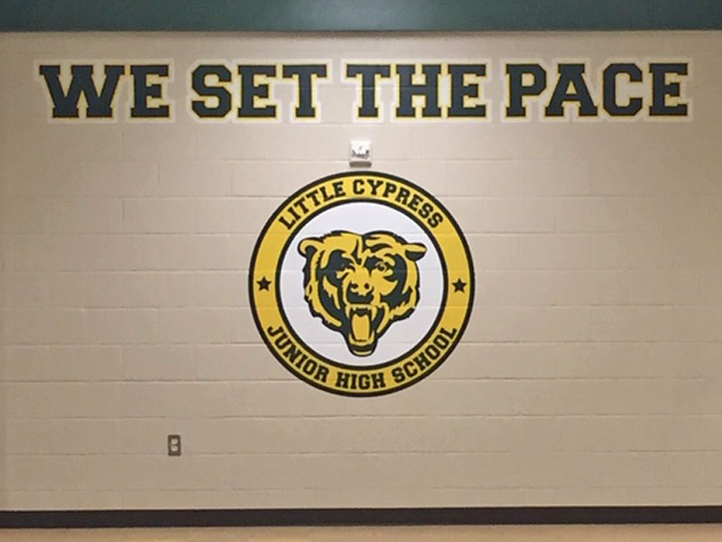 little cypress power grip on school wall