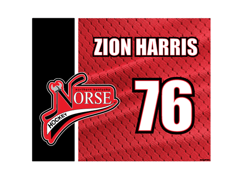 norse hockey bag inserts