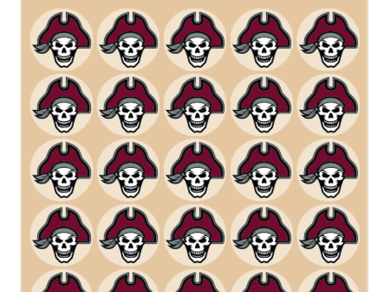 custom pirate football helmet awards on clear