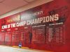 hockey pro series board - ferris state