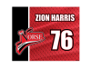norse hockey bag inserts