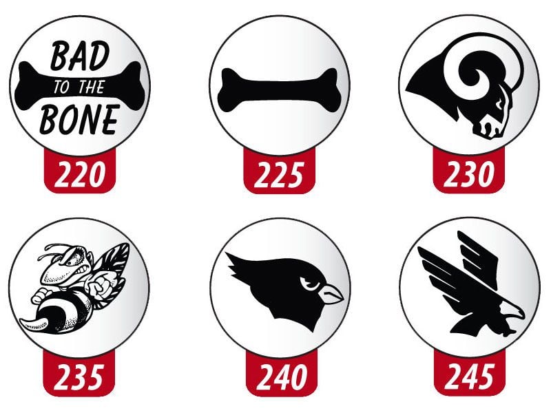 lacrosse stock awards 220 to 245