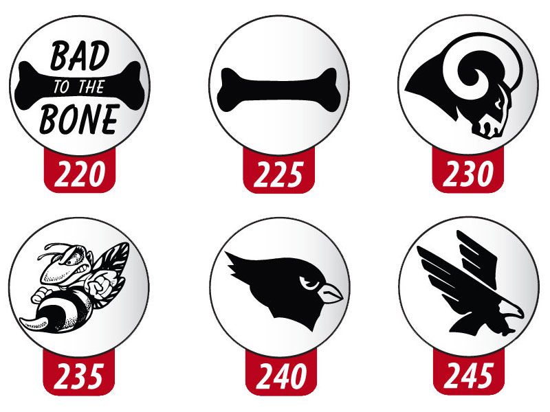 lacrosse stock awards 220 to 245