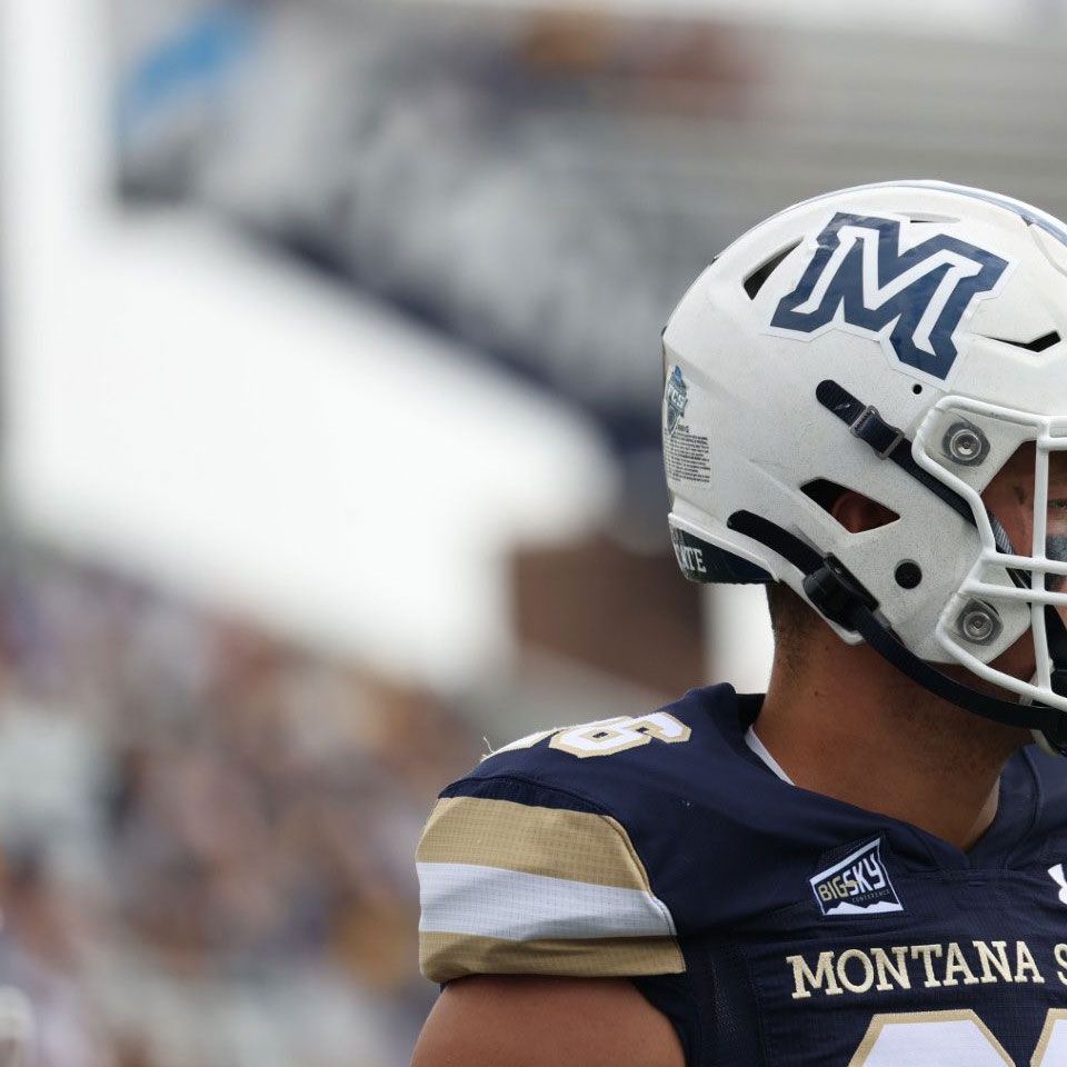 montana state football helmet decals
