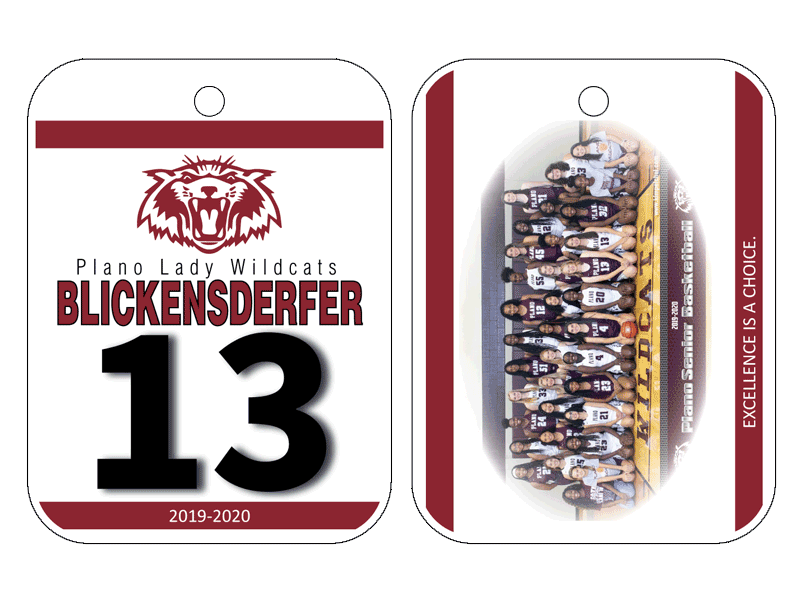 plano lady wildcats bag tag with team photo