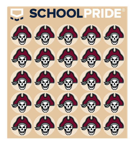 custom pirate football helmet awards on clear