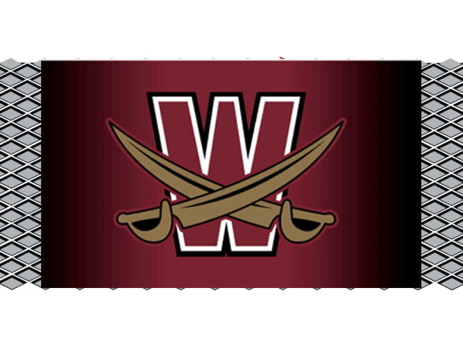 printed mesh fence banners