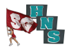 SG field runner flag with cheerleader