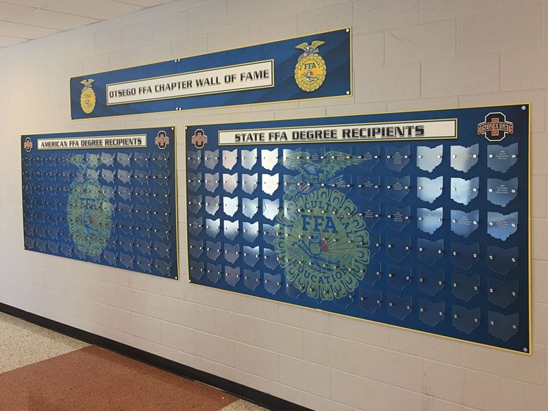 ffa pro series board