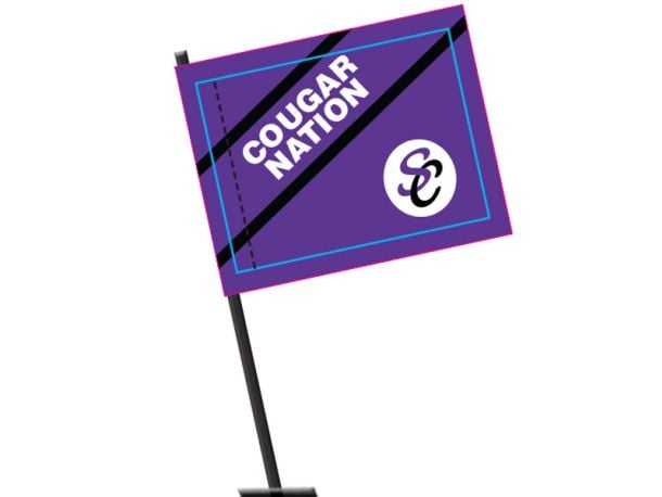 car flags car window