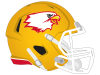 bird mascot on yellow football helmet for bishop fenwick