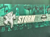 lake erie colllege graphic wall