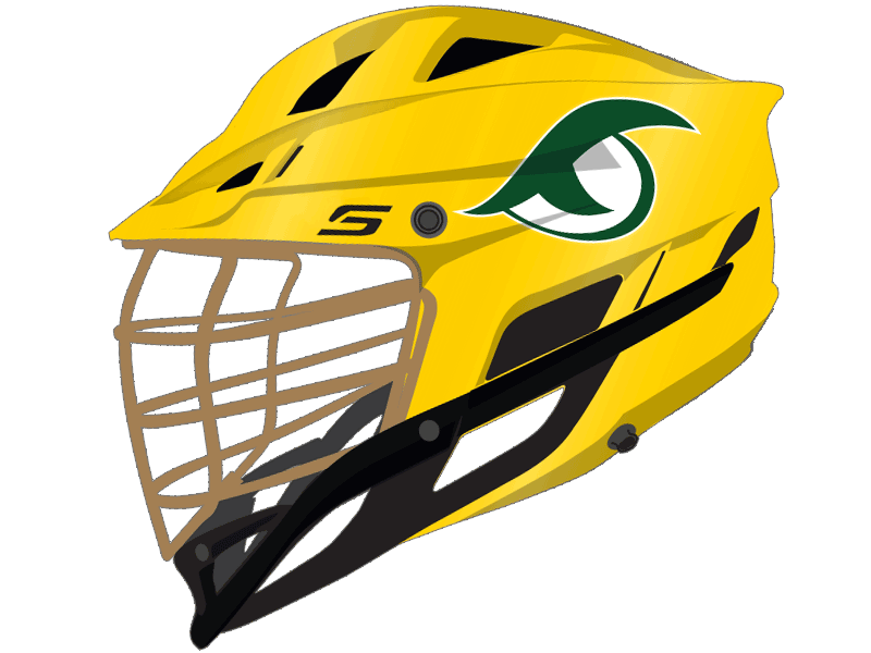 green and white eye lacrosse decal yellow helmet