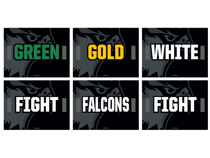 green gold white fight falcons fight cheer signs
