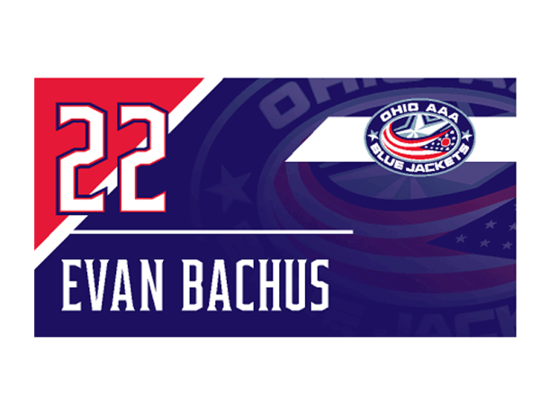 bag inserts for travel duffles