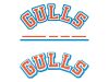 gulls 3d ice hockey decal artwork