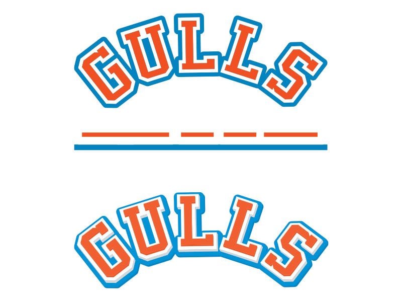 gulls 3d ice hockey decal artwork