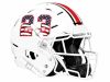 bird mascot on yellow football helmet for bishop fenwick