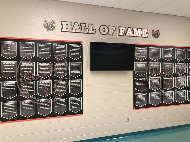 delaware hayes pro series hall of fame