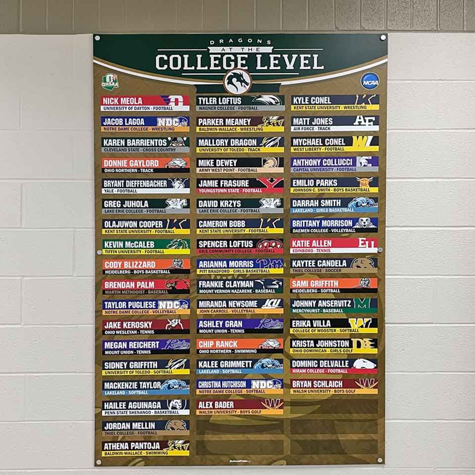 dragons college level board