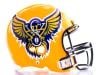 oversized football helmet decal on yellow helmet