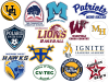 collage of many custom car magnets