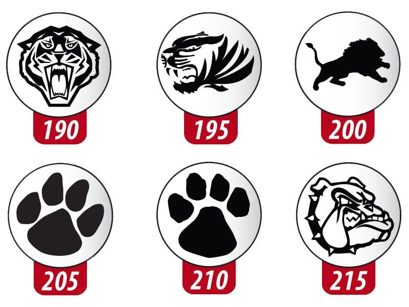 lacrosse stock awards 190 to 525L to 215