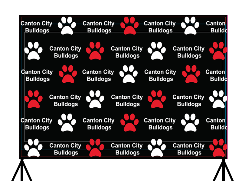 photographic backdrop canton city high school