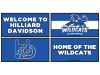 four mascot rugs for hilliard davidson high school