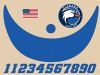 deluxe batting helmet decal sheet with sticker numbers visor button and blue ducks theme