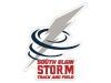 south elgin storm track & field car magnet