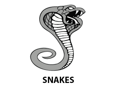 snakes mascots