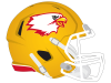bird mascot on yellow football helmet for bishop fenwick