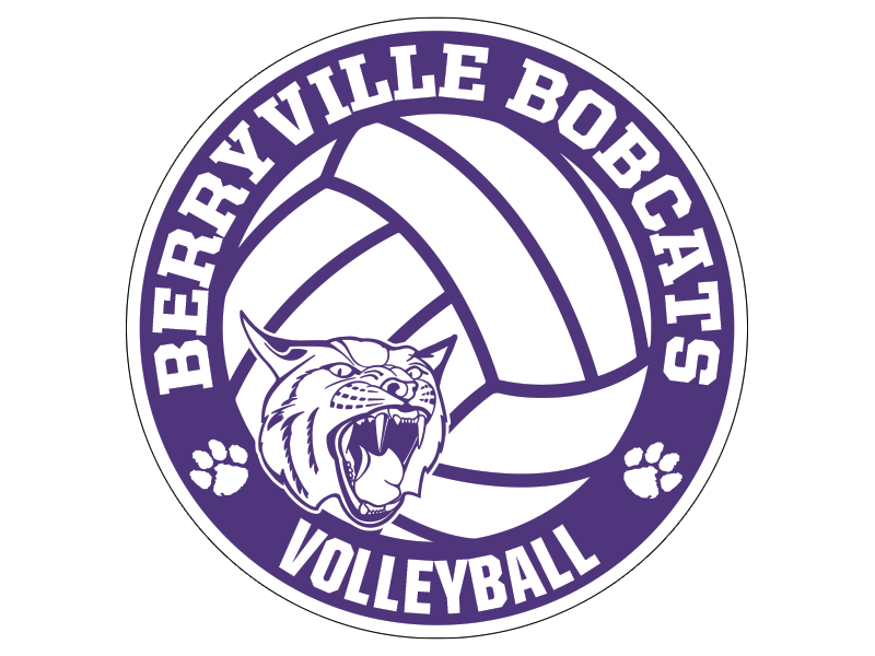 berryville volleyball automobile magnet