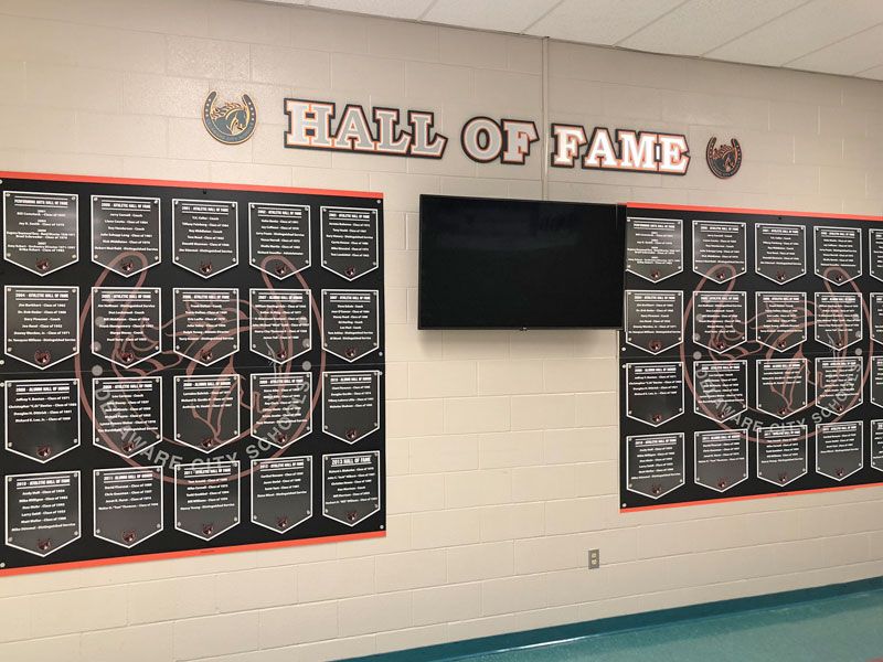 delaware hayes pro series hall of fame