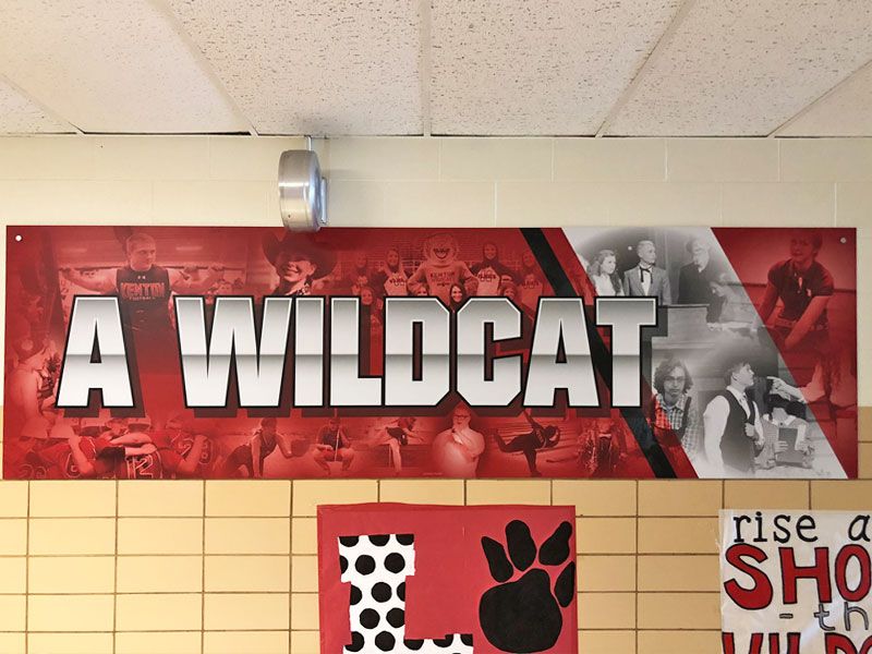 wildcat graphic wall with student photos