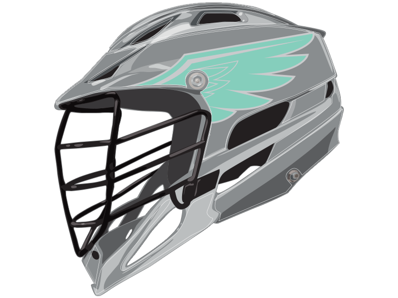 light green wing on gray lacrosse helmet